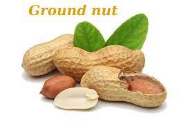 Get Here Verified Contact Details Of Ground Nut Supplying Exporting Companies From India Peanuts Nutrition Peanut Peanut Allergy