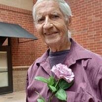 David Eugene Siefken Obituary