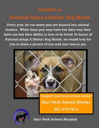 Adopt A Shelter Dog Month October Www Deerparkvets Com Shelter Dogs Dog Adoption Animal Shelter