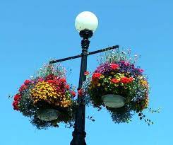 Hanging Flower Baskets Hanging Baskets Victoria Canada