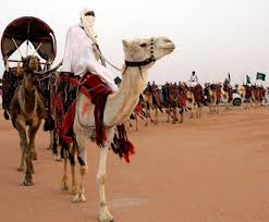 رأي أحد الزوار لمهرجان الابل | prospective of camel festival guest. King Abdulaziz Camel Festival