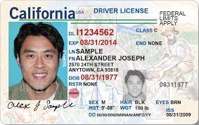 Real id cards are marked with a gold bear and a star. Slideshow What You Need To Know About California Real Id Driver S Licenses 89 3 Kpcc