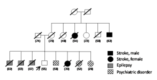 The Patients Pedigree Chart Showing A Strong Family History