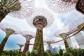 Gardens by the Bay Supertree Grove in Singapore