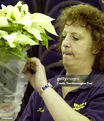 20 Gail Watkins Stock Photos, High-Res Pictures, and Images