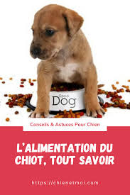 Tout Savoir Sur L Alimentation Pour Chiot En 2020 Alimentation Chiot Alimentation Nourriture Biologique