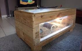 Pallet Table Terrarium Agama