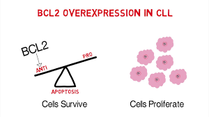 Image result for BCL2 Inhibitor