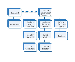 Sga Overview