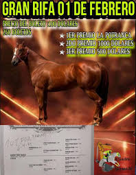 Carreras De Arkansas