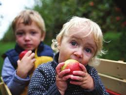 Vermont Farm To School & Childcare Program