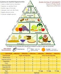 We reach a point where contentment and fulfillment are impossible. Strict Health Oriented Eating Patterns Orthorexic Eating Behaviours And Their Connection With A Vegetarian And Vegan Diet Springerlink
