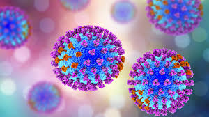 The average mvd case fatality rate is around 50%. The Deadliest Viruses In History Live Science