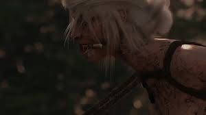 Ciri Cottage Predicament