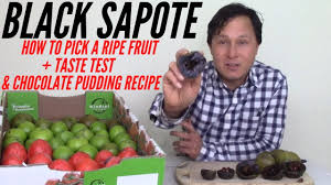 The black sapote has the peculiarity of having the taste and the color of the chocolate, but with way fewer calories: When Is A Black Sapote Ripe Aka Chocolate Pudding Fruit Taste Test Recipe Youtube