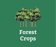 Forest Crops: Lumber, craft material, food...