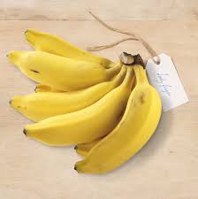 See more ideas about desserts, dessert recipes, delicious desserts. Australian Bananas All About Bananas Banana Varieties