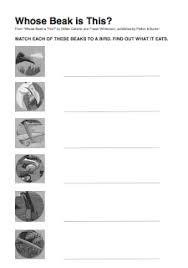 Match The Birds With Their Nests Matching Birds To Their Beaks Activity For Children Activities Beak Bird Beaks