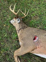 Perfect for squirrels and prairie dog hunting, but also creates little or no exit wound on larger animals leaving their pelts virtually undamaged. 50 Cal Exit Wound Accomplish The Missions And Use Your Combat Skills To Get Rid Of The Enemies With Guns Sniper Rifles Machine Guns Mines Somil Khan