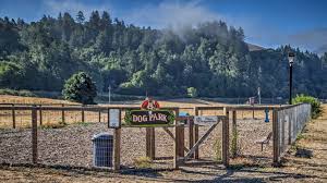 Check spelling or type a new query. Casini Ranch Family Campground Camp California