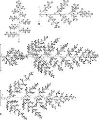 Image result for Scleria melanomphala