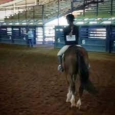 Ocala/marion county, fl has more horses and ponies than any other county in the nation, according to the us dept. Hunter Jumper Equitation Dressage Western Horses For Sale In Florida Community Facebook