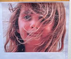 The Art of Ronald Ferry