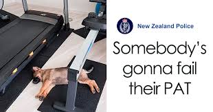 News corp is a network of leading companies in the worlds of diversified media, news, education, and information services. The New Zealand Police Is Winning Over The Internet With Their Adorable And Funny Posts 30 Pics Bored Panda