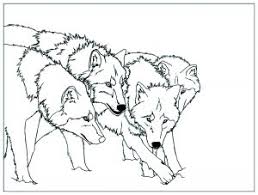 Free printable wolf coloring pages for kids. Wolf Free Printable Coloring Pages For Kids