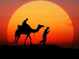 We have 64+ background pictures for you! Camel Sunset Silhouette Desert People Sky Animal Themes Animal Camel Train 4k Wallpaper Hd Wallpaper Pikist