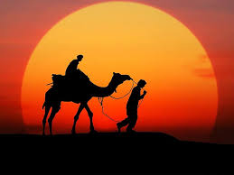 Arabian sunset camels is part of the nature & landscape wallpapers collection. Camel Sunset Silhouette Desert People Sky Animal Themes Animal Camel Train 4k Wallpaper Hd Wallpaper Pikist
