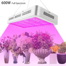 As your plants grow, you have to change the height of your lights to accommodate the growing plants' height. Derlights Led Grow Light 600w Full Spectrum Dual Chip High Power Plant Lamp For Grow Tent Greenhouse Red Blue Mixed With Uv Ir 85 265v For Hydroponics Vegetable Flower Budding Seeding
