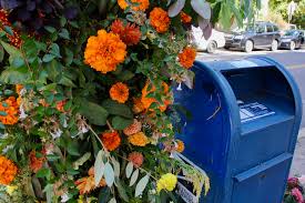 Proflowers delivers the freshest flowers by mail. Florists Bomb Philly Mailboxes For 2020 Election Ballots Whyy