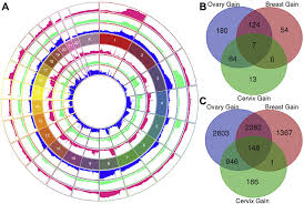 These cells also have the potential to invade nearby tissues or the tumors that can spread throughout the body or invade nearby tissues represent true invasive cancer, and are called malignant tumors. Gynaecologic Cancer Genomes Comparison Panel A Depicts Circos Plot Download Scientific Diagram