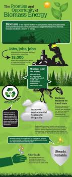Promise Benefits Of Biomass Energy Infographic Biomass Energy Renewable Energy Biomass