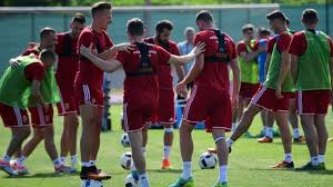 Euro 2021 euro 2020 hungary football portugal football germany football france football. Hungary Hires Marco Rossi As Coach Replaces George Leekens Sports China Daily