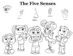 These pages could be put together to make a book. The Five Senses Senses Preschool Kindergarten Colors Five Senses Worksheet