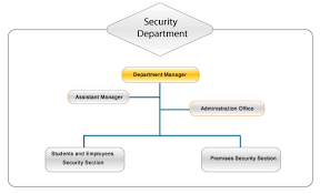 Organizational Chart