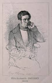 Image result for Pouchetia