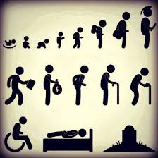 Life Circles Quotes India Life Lifecircle Qoutes Inspiring Motivational Amazing Feelings Lifeqoutes Human Life Cycle Circle Of Life Student Work