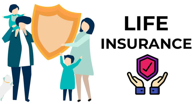 Top 10 most suitable insurance