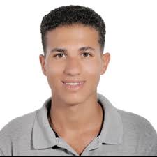 CDWS Registered Professionals