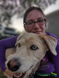 Who here runs with your dog? I ran with my GSD for years (lost her a year  ago when she was 12). We have a new boy (7month old) working line GSd.