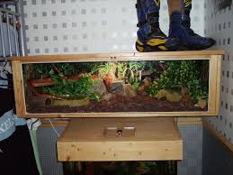 What substrate is good for ball pythons? Corn Snake Viv Pics Corn Snake Snake Tank Snake Enclosure
