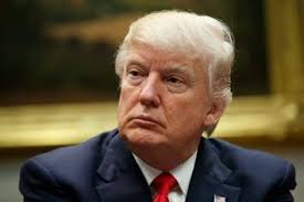 Summer Cartwright's Articles at Salon.com