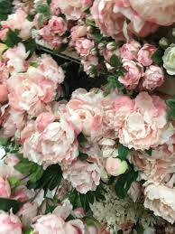 Maybe you would like to learn more about one of these? Silk Flower Bouquet Explore Tumblr Posts And Blogs Tumgir