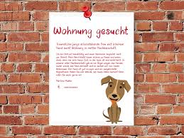 Das sind alles ideale haustiere für wohnungen. Wohnungssuche Mit Haustier Tipps Fur Tierhalter Tasso