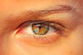 Peki Bunlar Renkli Gozse Bizimki Ne Oluyor Diye Dusundurten Birbirinden Guzel 35 Renkli Goz Cores De Olhos Olhos Lindos Olhos