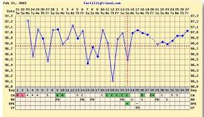 Confusing Bbt Chart Babycenter