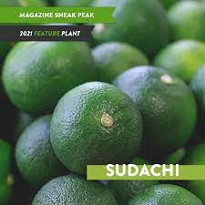 A close relative of the genus citrus, sometimes classified as citrus trifoliata.it is especially resistant to cold, the tristeza virus, and the fungus phytophthora parasitica (root rot), and grows well in loam soil. Wa Welcomes A New Line Of Citrus Perth Garden Festival Facebook